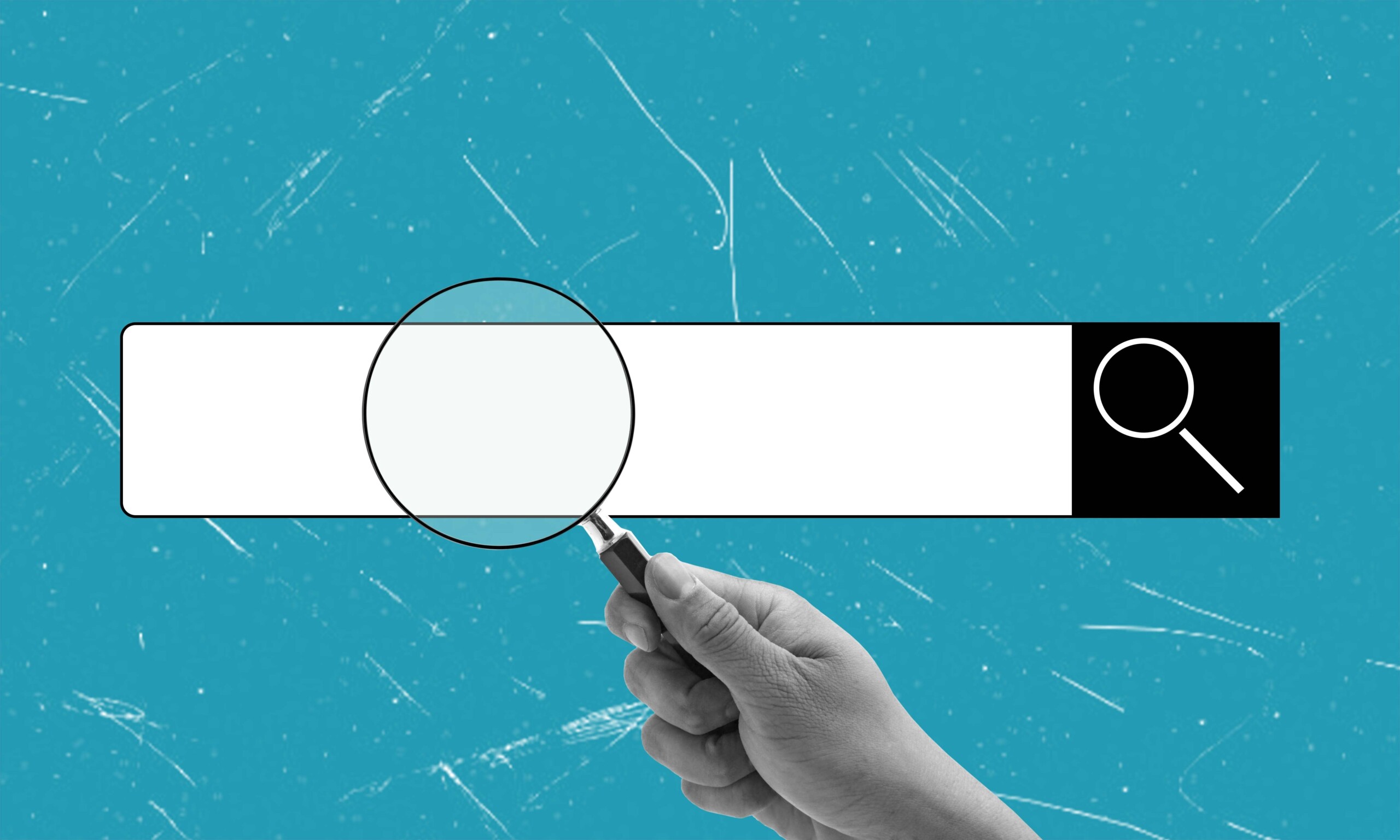 Can visitors find what they need Can visitors find what they need